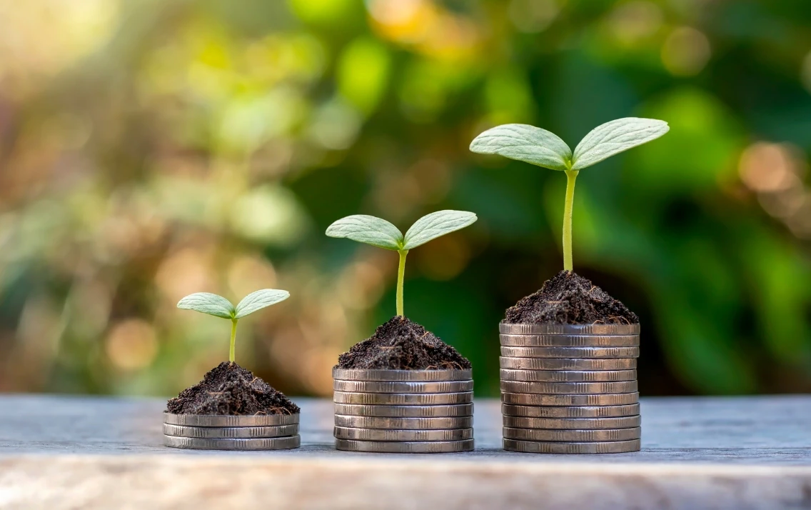 Three piles of increasing amounts of coins with a small plant on top of each at different growth stages